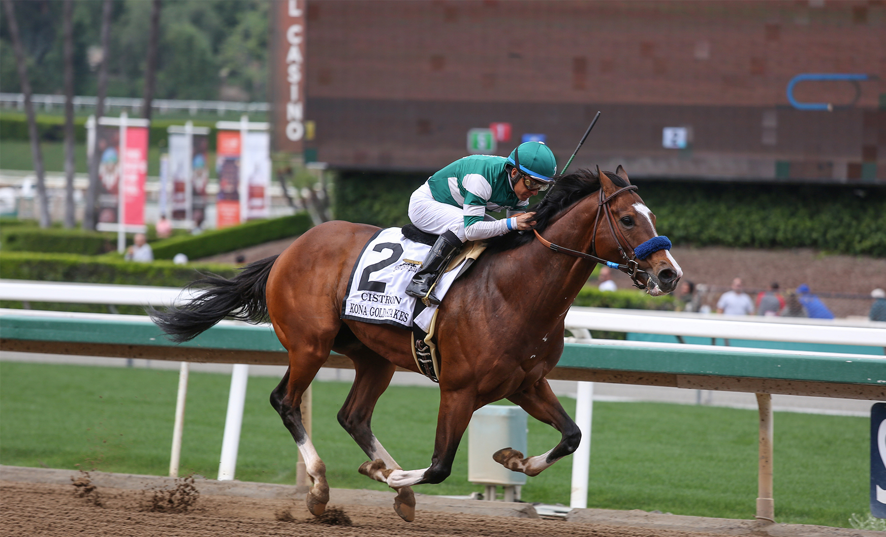 Musings From My Grade 1 Couch: Santa Anita Park Analysis for May 23rd, 2020