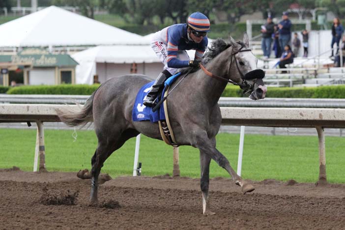 Musings from My Grade One Couch: Santa Anita Park Analysis for May 22nd, 2020