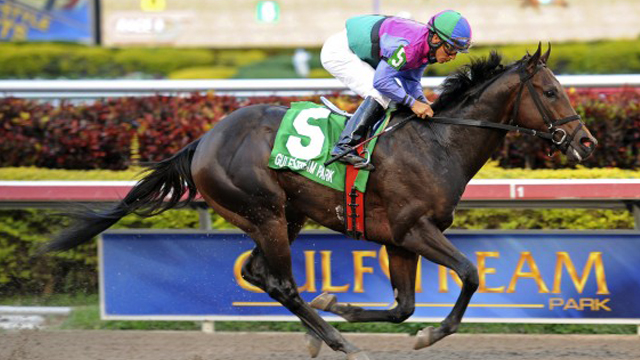 It’s Post Time By Jon White: Good Magic Tops Xpressbet.com Fountain of Youth