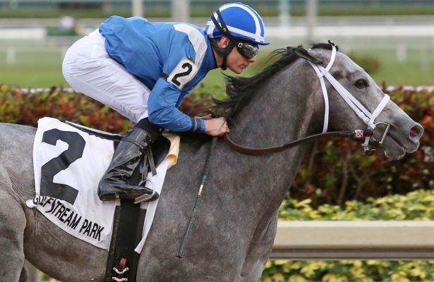 Musings From My Grade 1 Couch: Gulfstream Park Analysis for April 19th, 2020