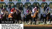 Jeff Siegel’s Blog: “What You Need to Know” for Santa Anita – Sunday, June 19, 2022