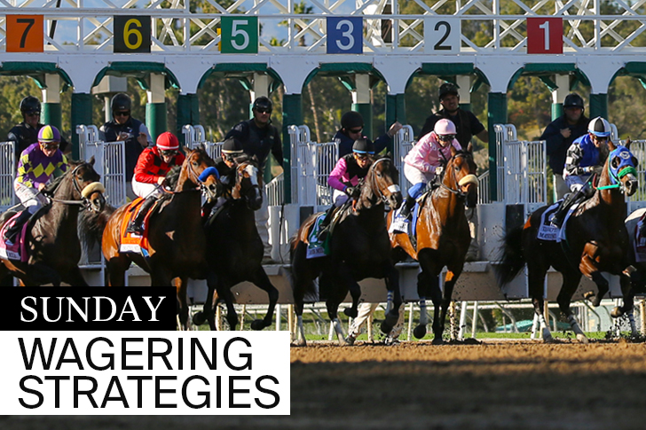 Jeff Siegel’s Blog: “What You Need to Know” for Santa Anita – Sunday, October 16, 2022