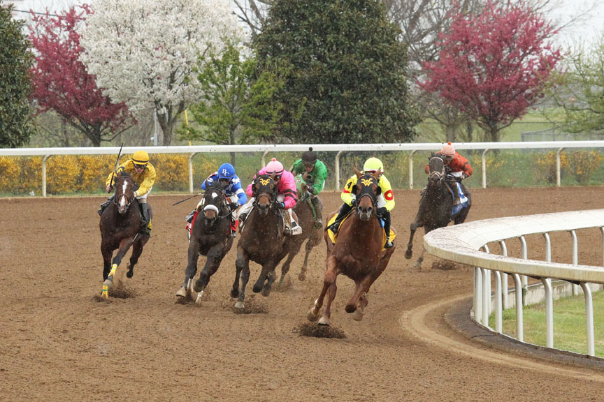 Jeff Siegel’s Blog:  Oaklawn Park Analysis & Wagering Strategies for Friday, May 1, 2020