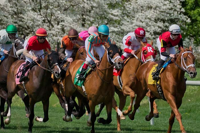 Leverage Plays: Wagering Strategies for the Breeders’ Cup Juvenile Fillies Turf