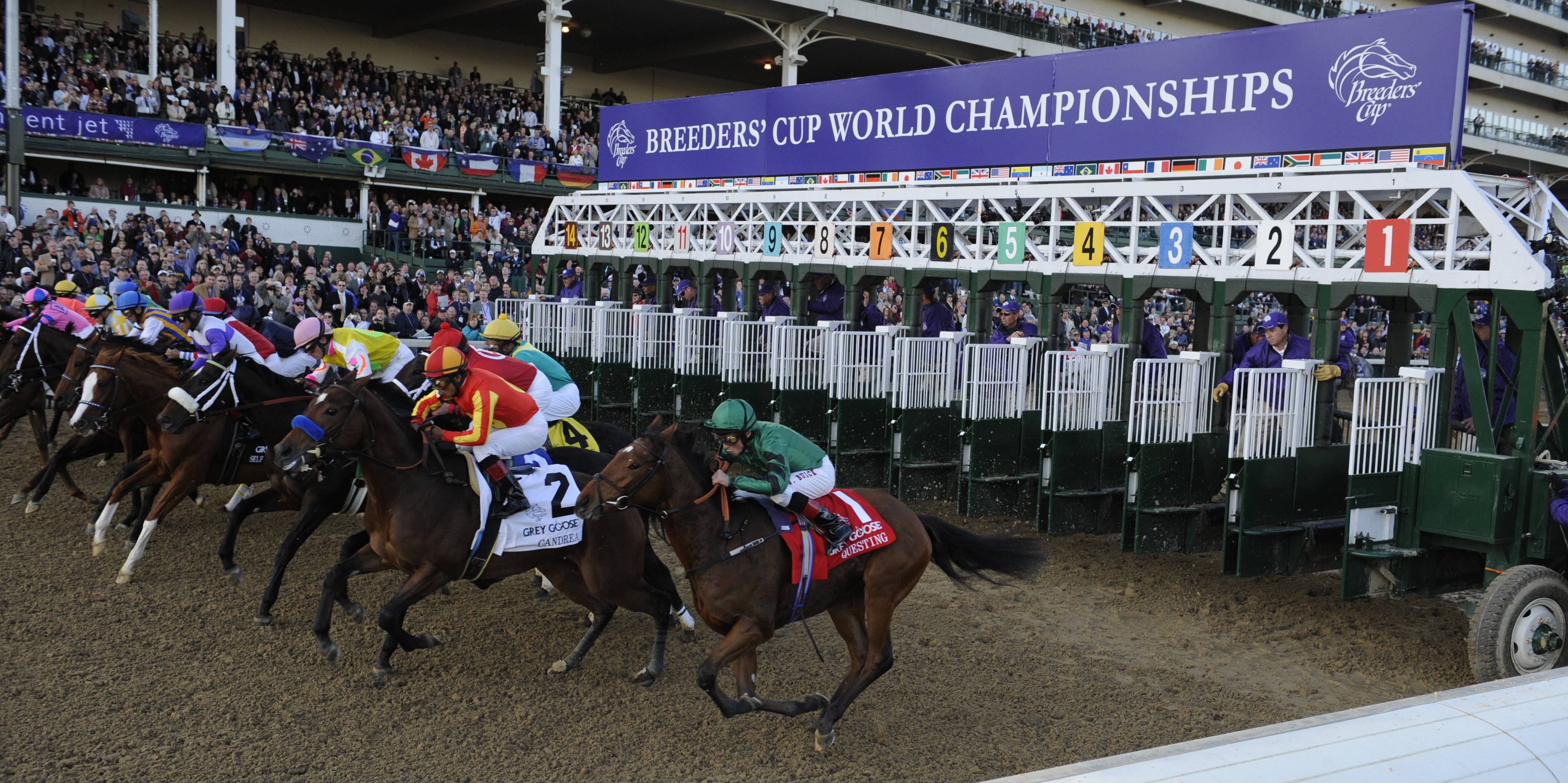 It’s Post Time by Jon White: Breeders’ Cup Recap