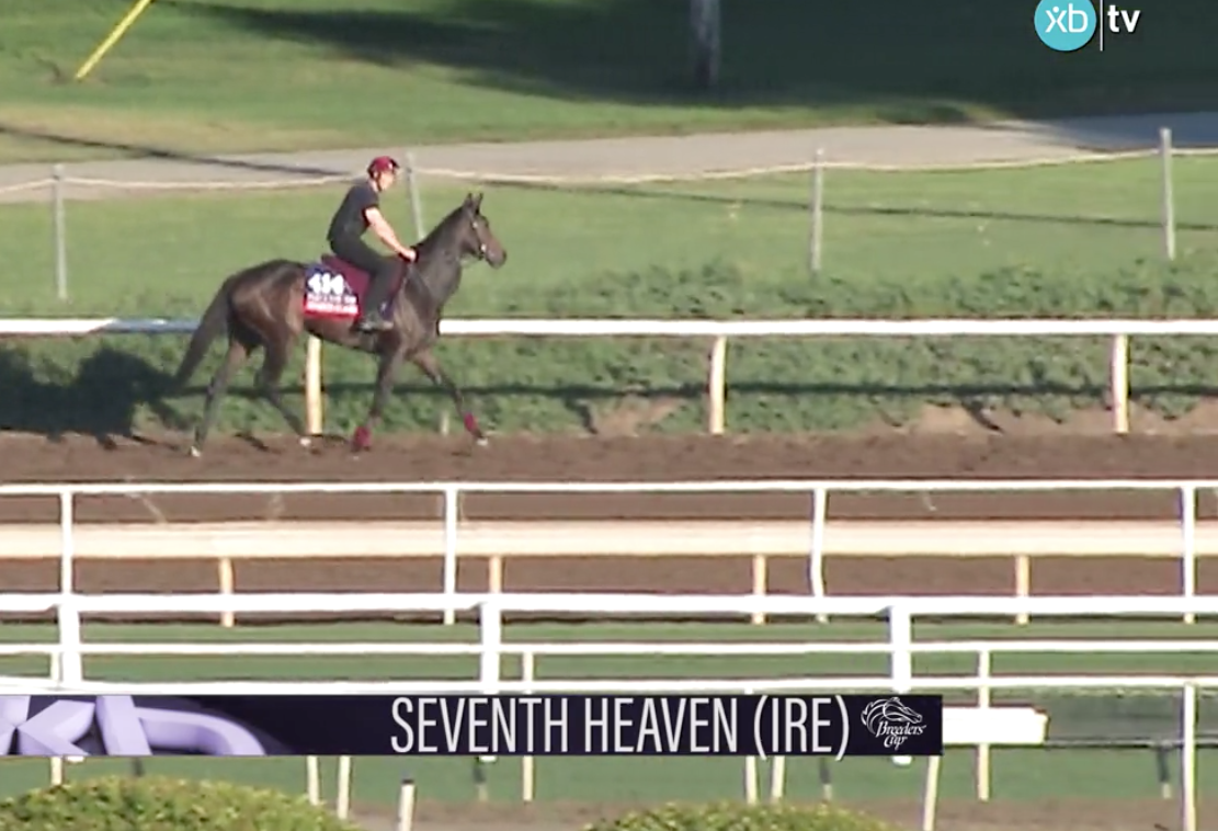 Leverage Plays: Betting the Breeders’ Cup Filly and Mare Turf