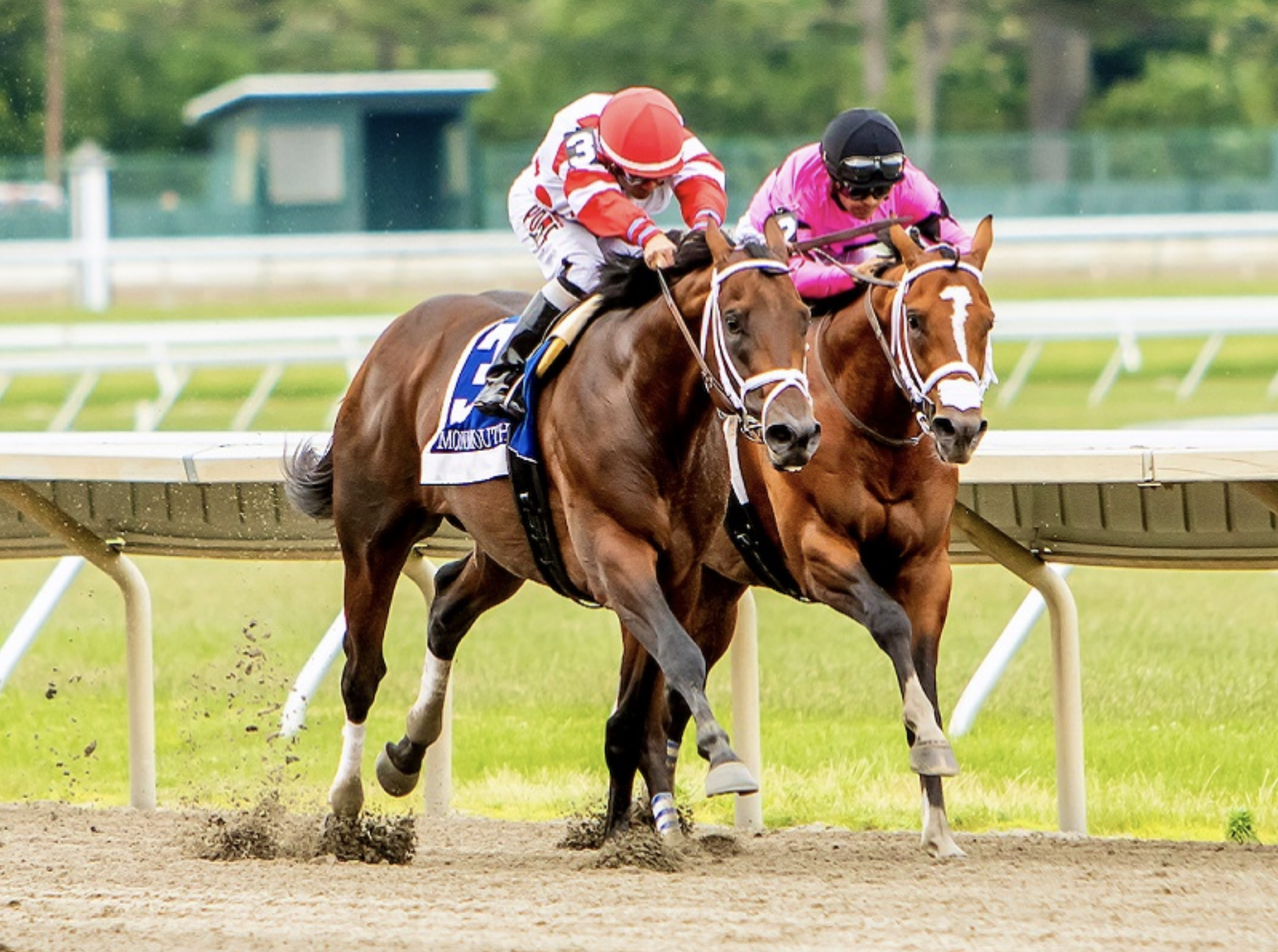 It’s Post Time by Jon White: Maximum Security Tops Haskell Field